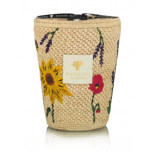 Baobab Collection Vony свеча Max 24 Ahitra 3000г фото №1