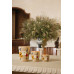 Baobab Collection Vony свеча Max 16 Ahitra 1100г